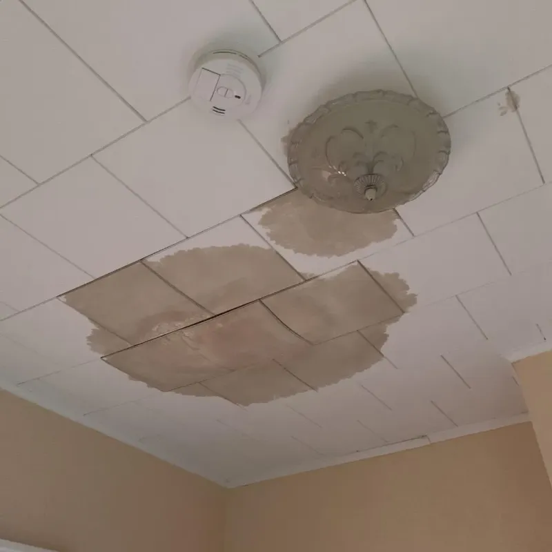 Ceiling Water Damage Repair in Malvern, IA