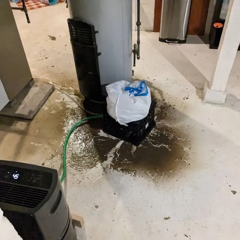 Sewage Backup Cleanup Service in Malvern, IA